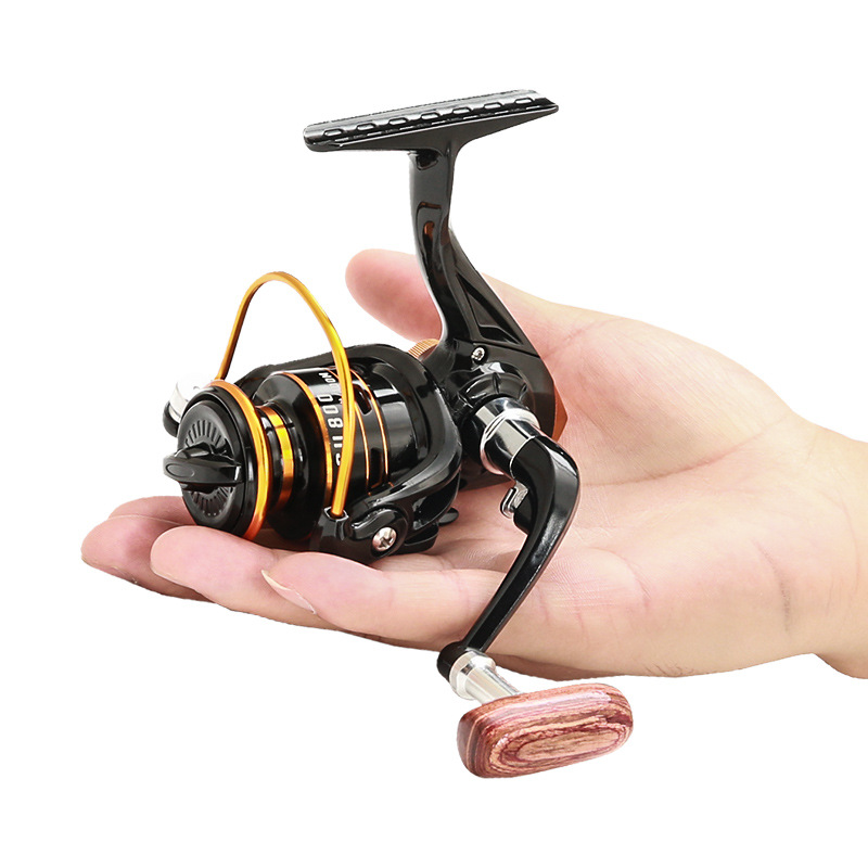 800 Series Small Spinning Fish - Daiwa Reel Bg ulasan dan harga