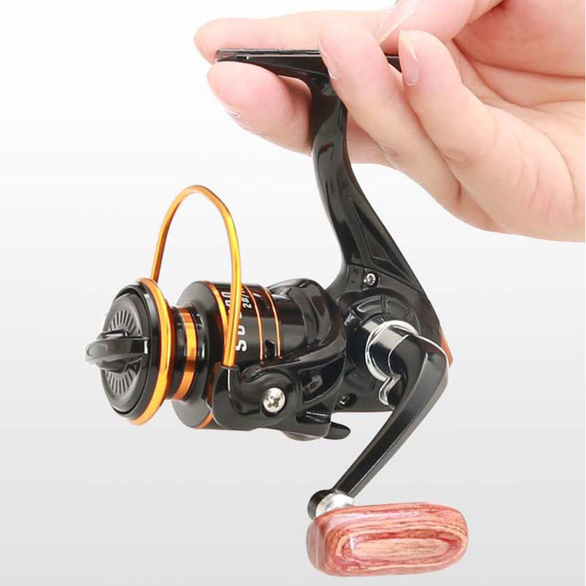 800 Series Small Spinning Fish - Daiwa Reel Bg ulasan dan harga